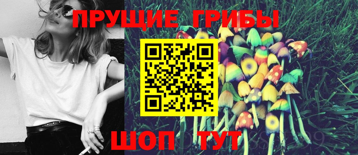 Псилоцибиновые грибы ЛСД Новозыбков