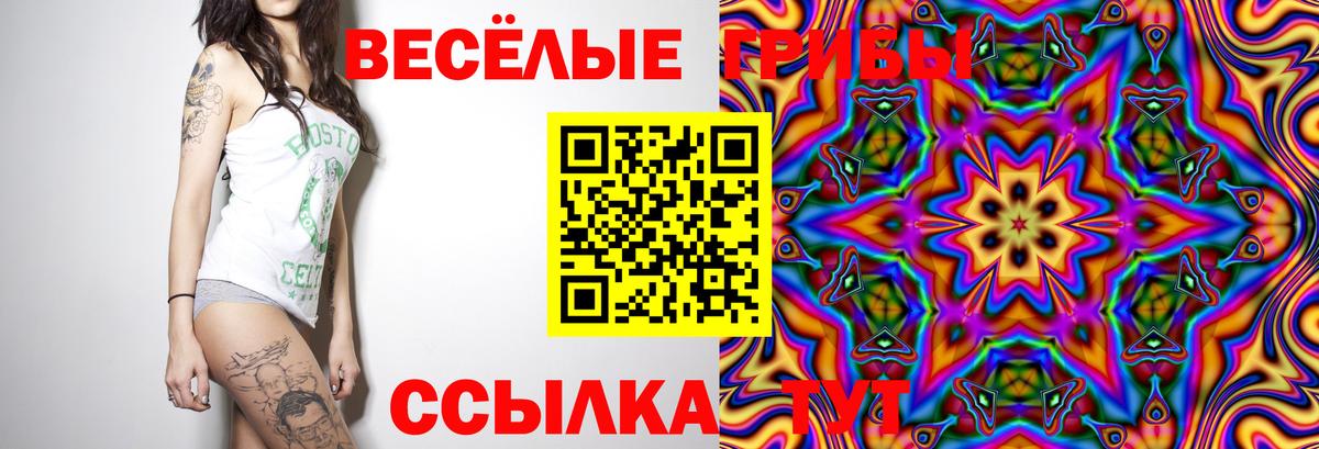 Новозыбков  Псилоцибиновые грибы Psilocybe  Вход с VPN 